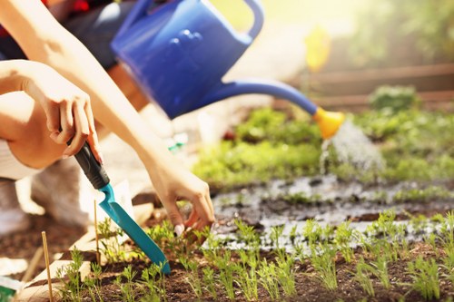 Garden renovation in Colindale with fresh landscaping and patio design