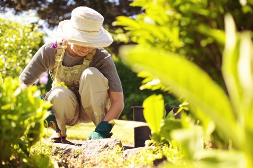 Garden maintenance in Colindale with neat lawn and trimmed hedges