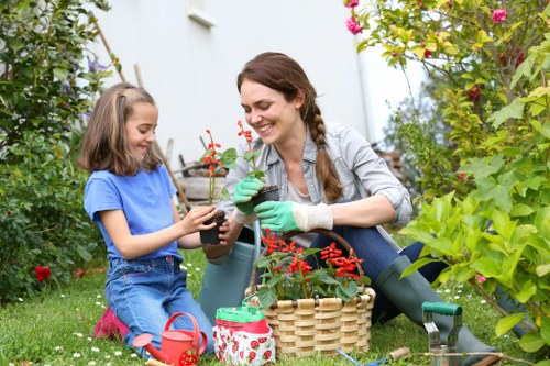 Outdoor lighting and privacy features for garden renovation in Colindale