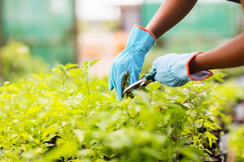 Reviewing a landscaping complaint and project records