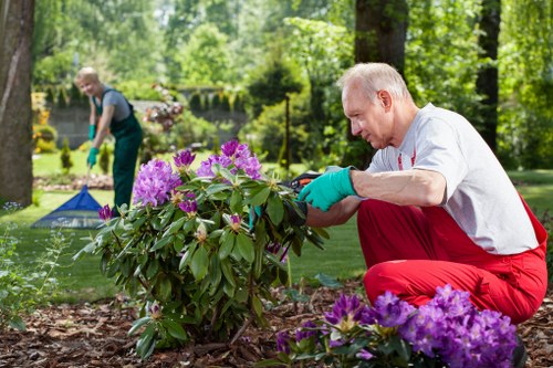 Staff in PPE carrying out safe garden waste removal in Colindale