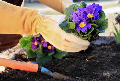 Senior review of a landscaping complaint