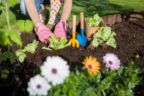 Garden design planning for a Colindale property