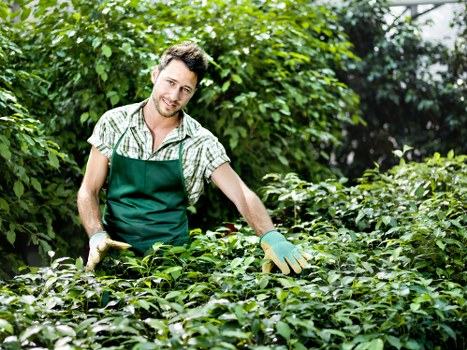 Local landscaping team planning an outdoor space in Colindale