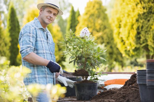 Professional garden maintenance in Colindale for beds and borders