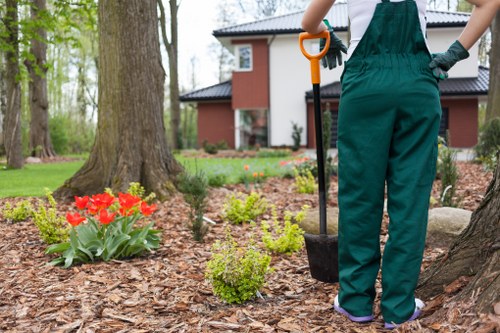 Professional landscapers shaping a modern Colindale garden