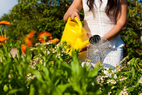 Low-maintenance planting design for a residential garden in Colindale