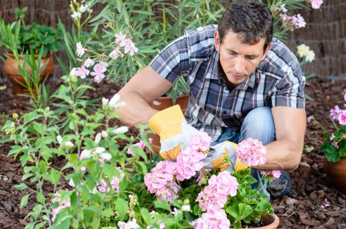 Local transfer station handling recyclable landscaping materials